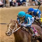 what horses to bet on in the kentucky derby